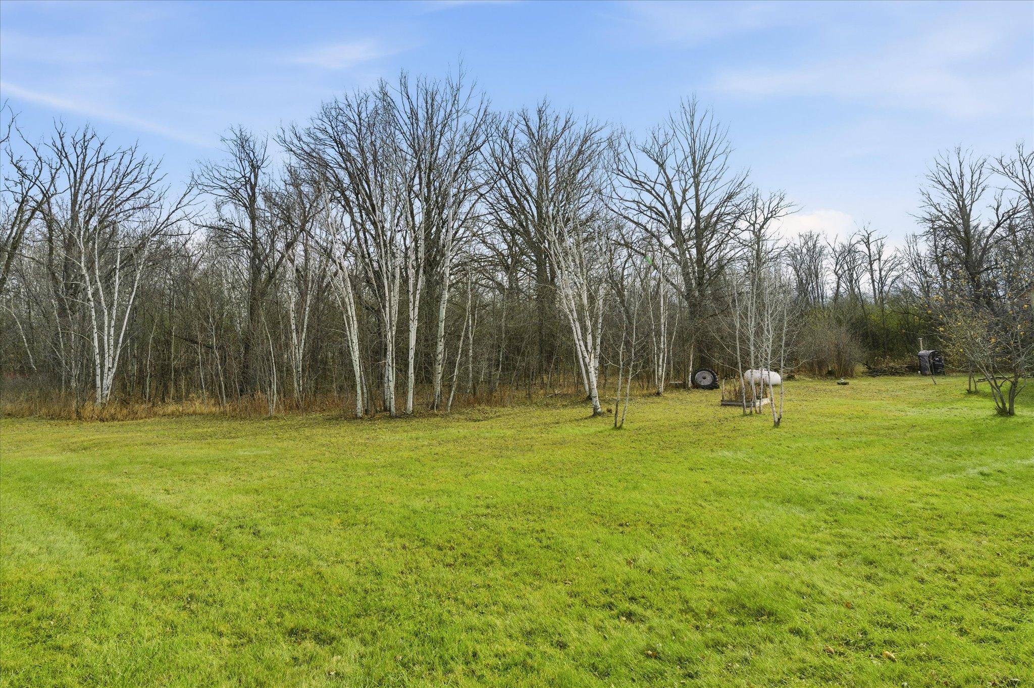 Borgholm Twp, MN 56353,9233 140th ST