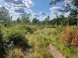 Bass Lake, WI 54875,xxx Lester Road