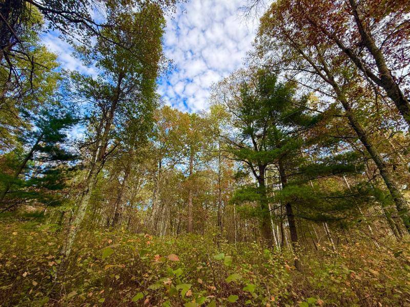 Nisswa, MN 56468,0000 Sunset Valley Road