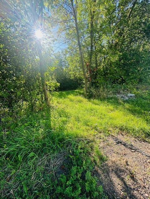 Rushseba Twp, MN 55069,8XXX Rushseba TRL