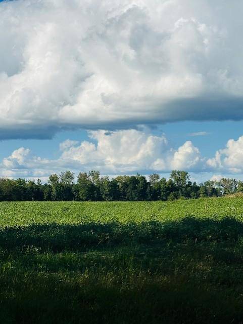 Rushseba Twp, MN 55069,8XXX Rushseba TRL