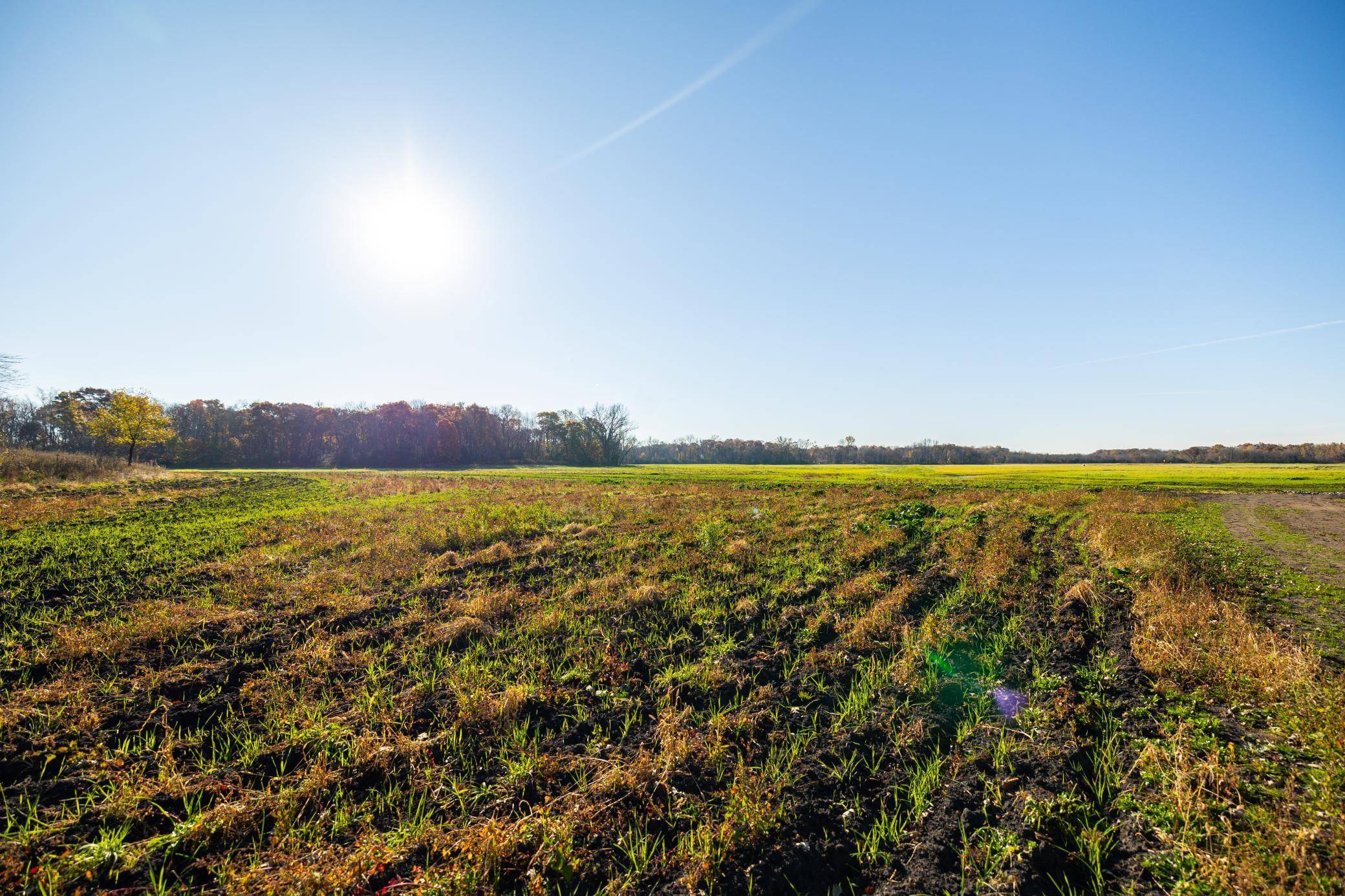 Oak Grove, MN 55011,TBD Flamingo ST NW