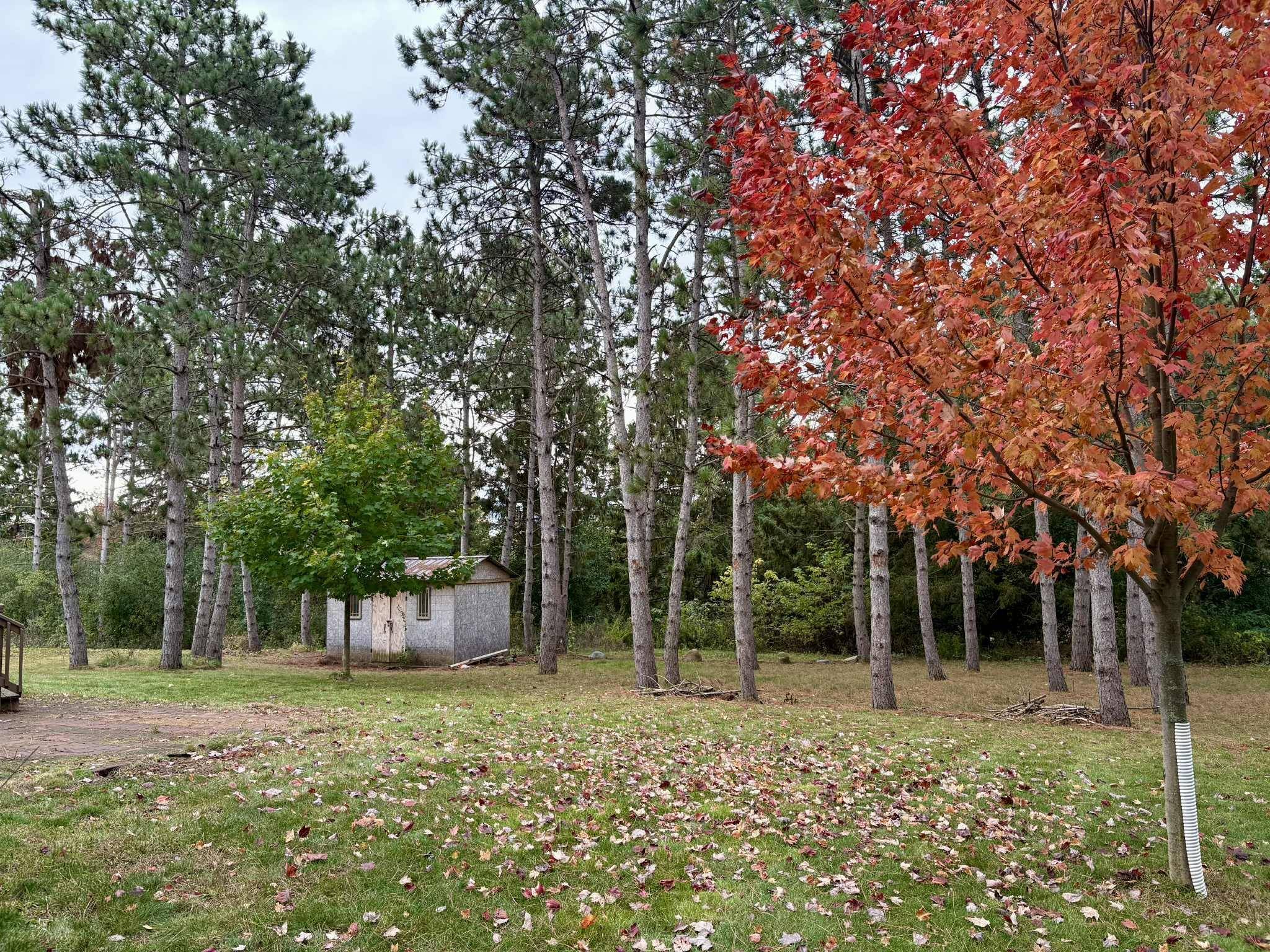 New Richmond, WI 54017,1430 Creekwood DR