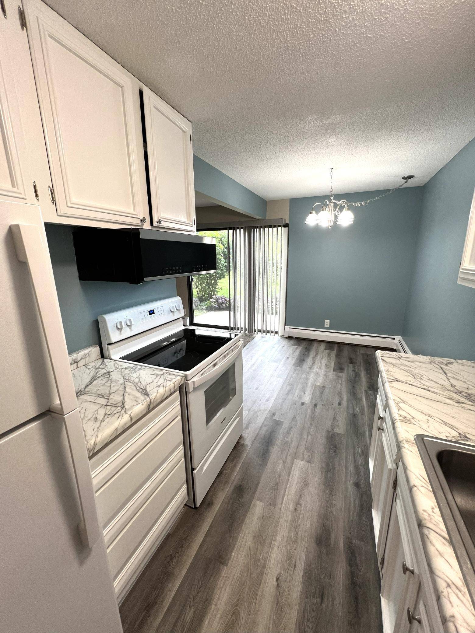 Hopkins, MN 55343,924 Westbrooke WAY #3