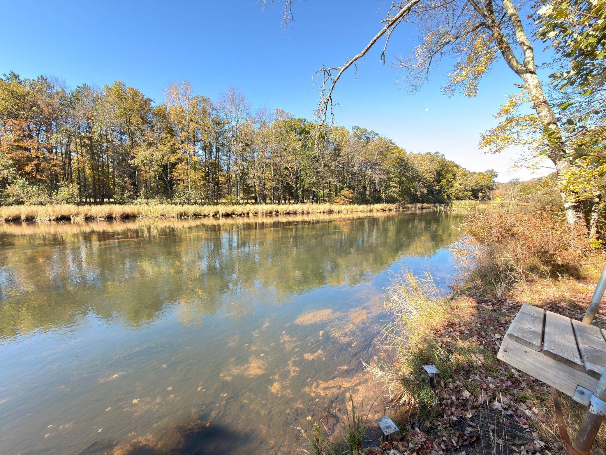 Webster, WI 54893,26304 Whistler RD