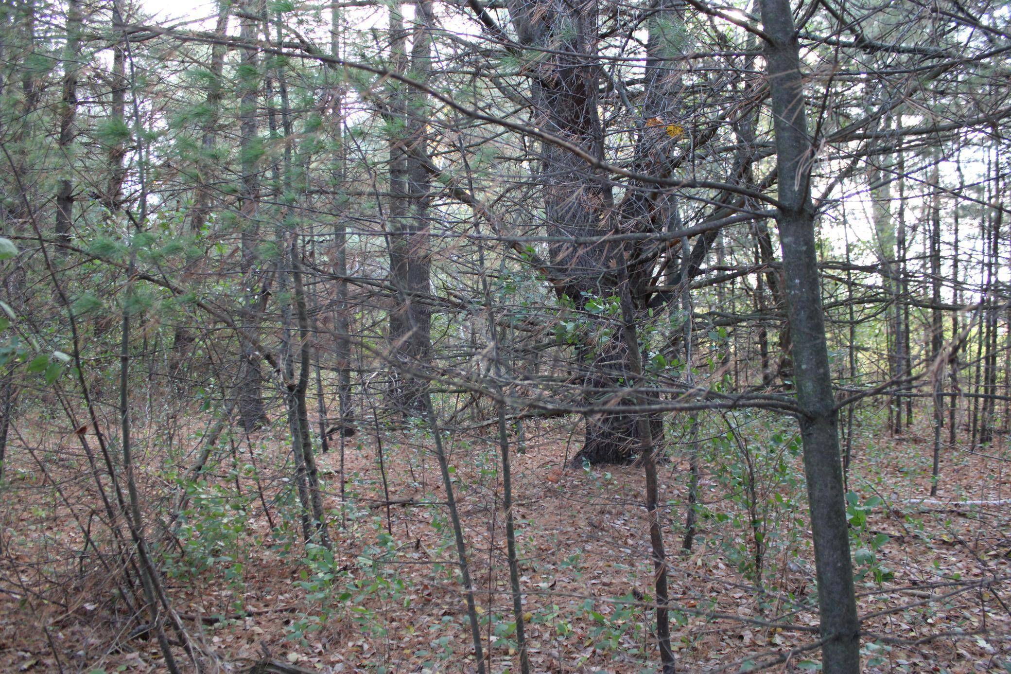 Siren, WI 54872,Lot 3 Tewalt Road