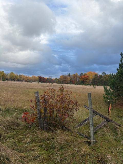 Center Twp, MN 56465,TBD Gunpowder RD