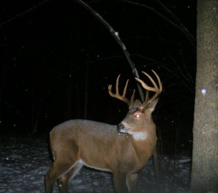 Atlanta Twp, WI 54819,110 Acres County Road O