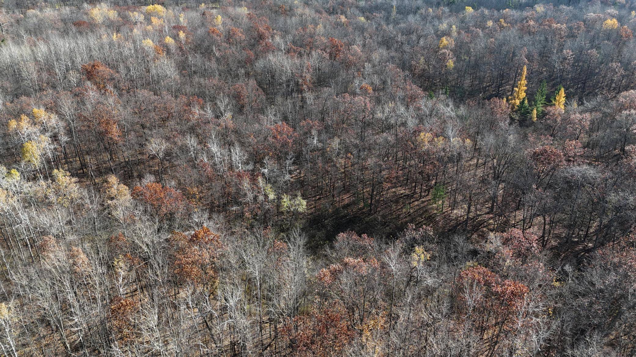 Sandstone, MN 55072,TBD Grace Lake RD