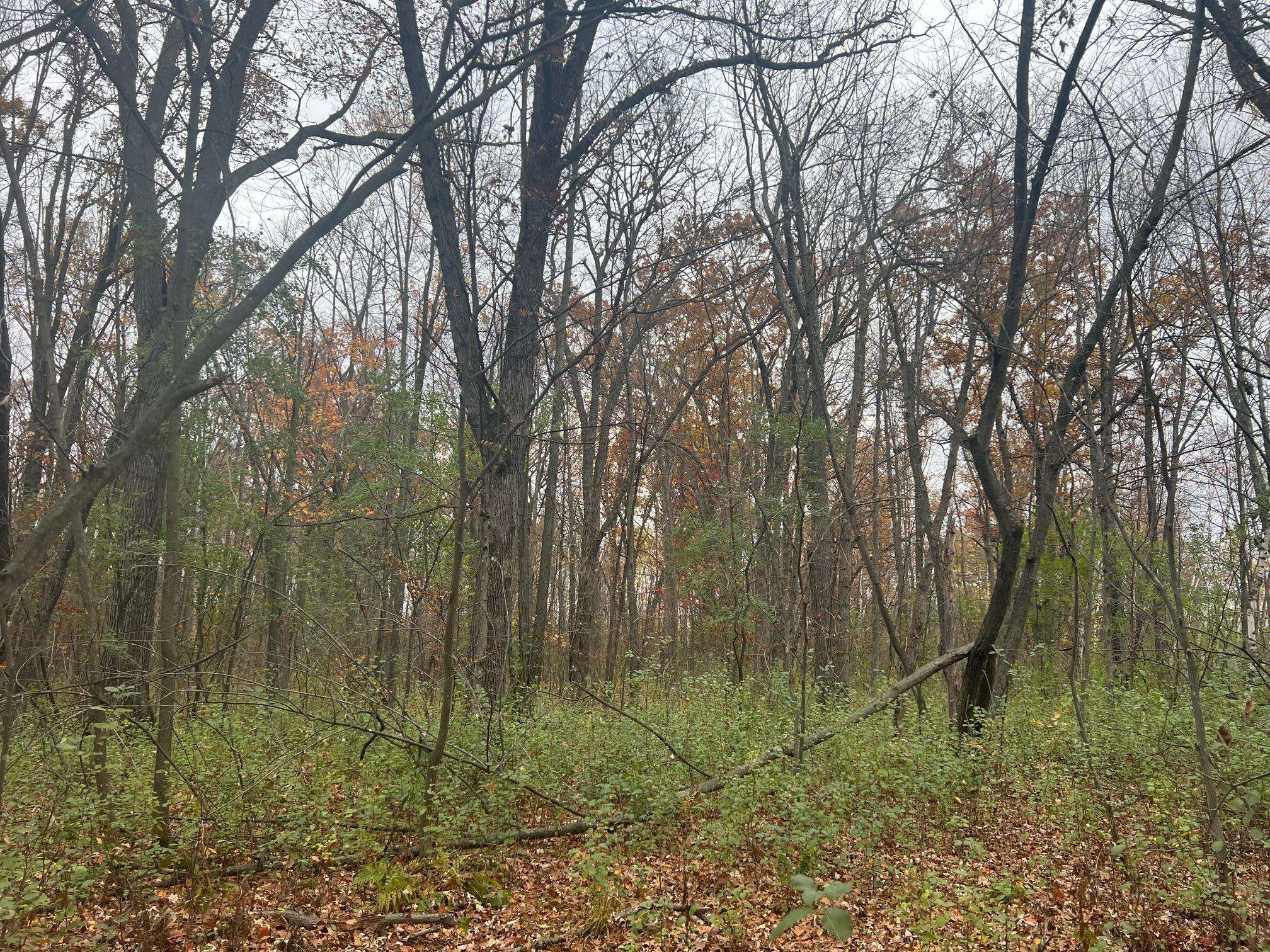 Ogilvie, MN 56358,178xx 50th AVE