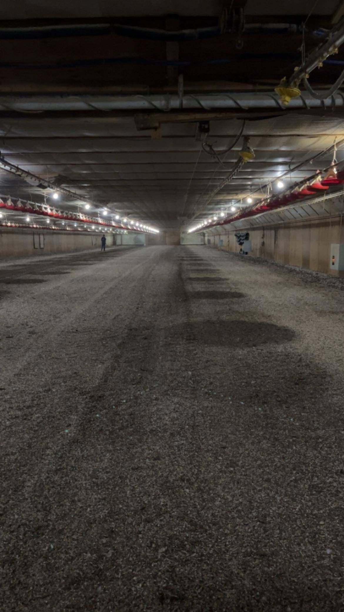 Holdingford, MN 56340,TBD County Road 3