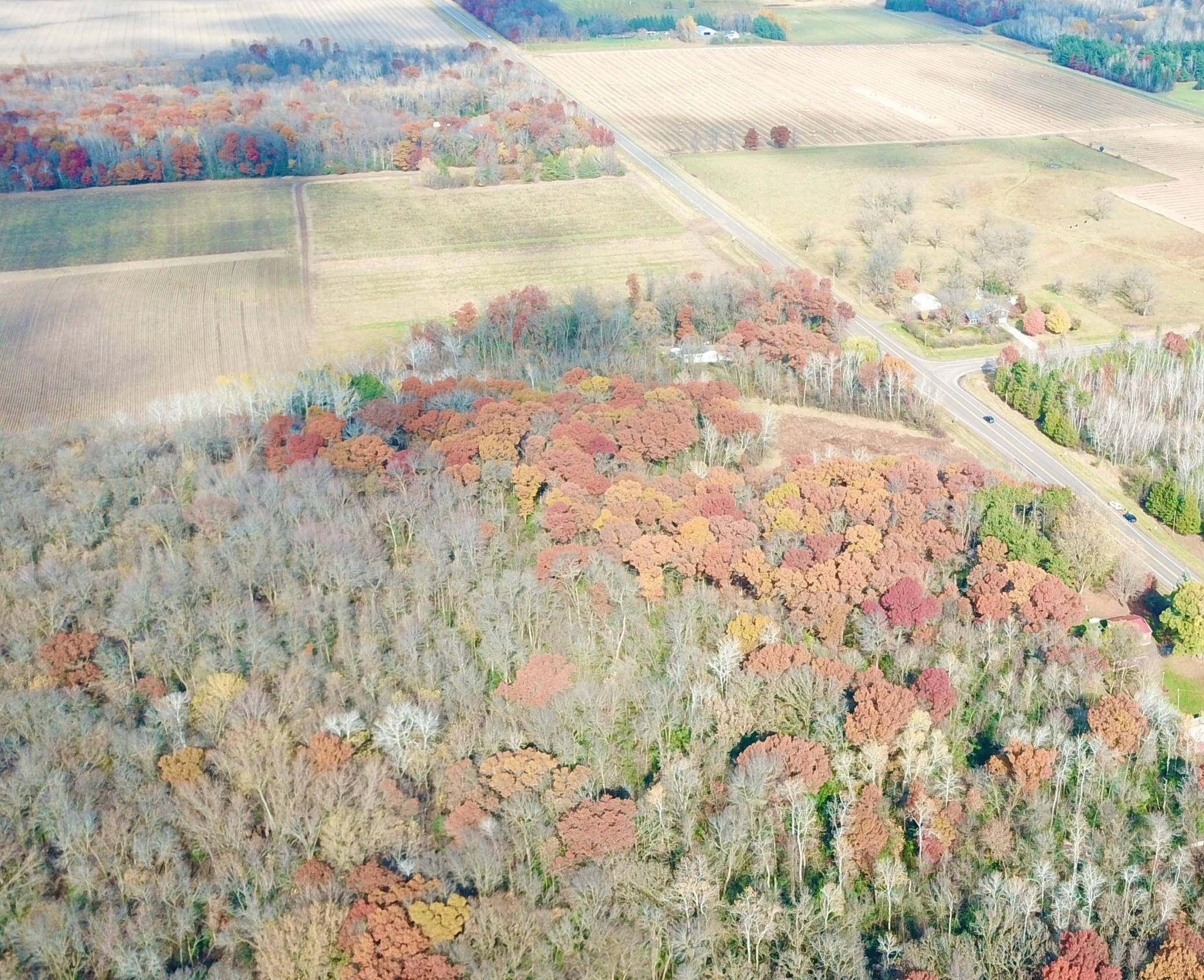 Santiago Twp, MN 55319,TBDx 165th AVE SE