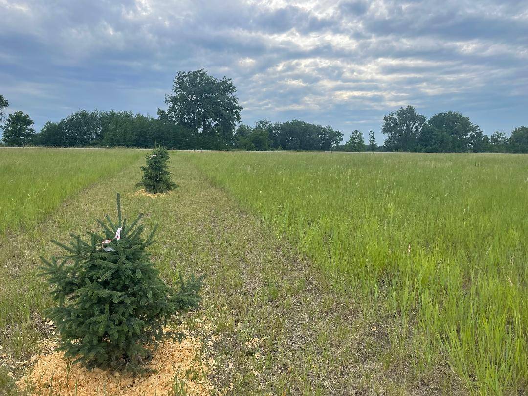 Barnesville, MN 56514,10324 State Hwy 9 S