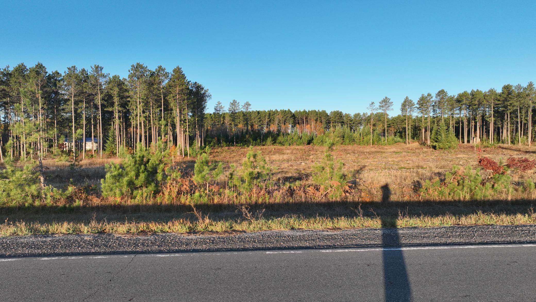 Nevis, MN 56467,xxx County Road 119