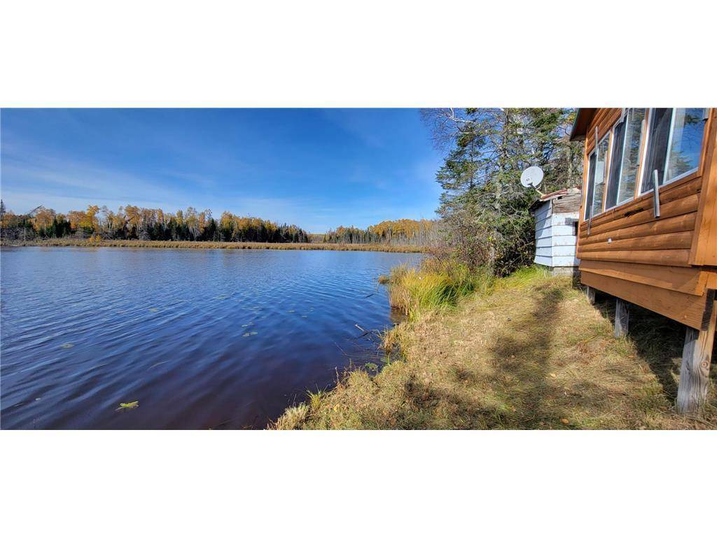 Bigfork, MN 56628,53411 Lynx Lake RD