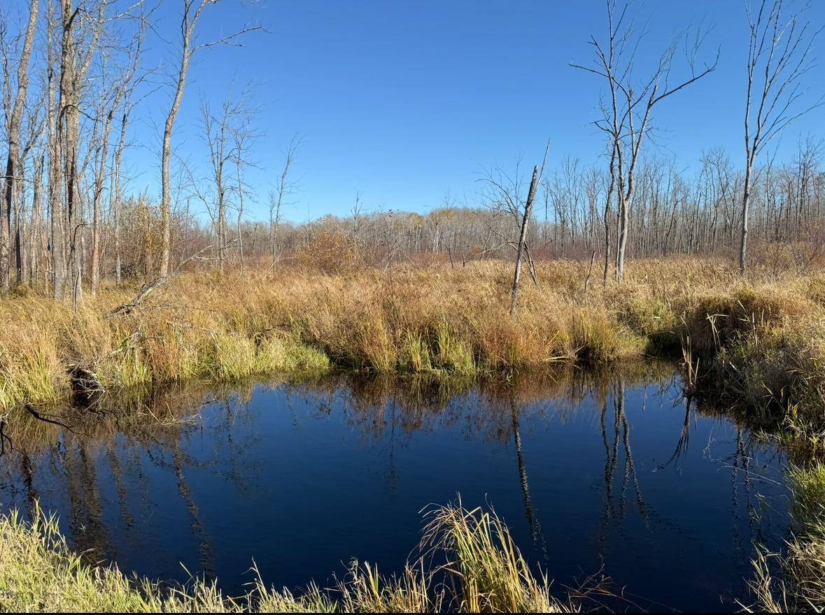 Lee Twp, MN 56431,XXX Dam Lake Street