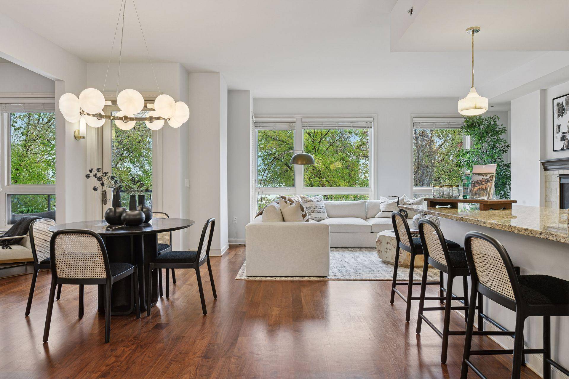 Spring Park, MN 55384,4201 Sunset DR #N217