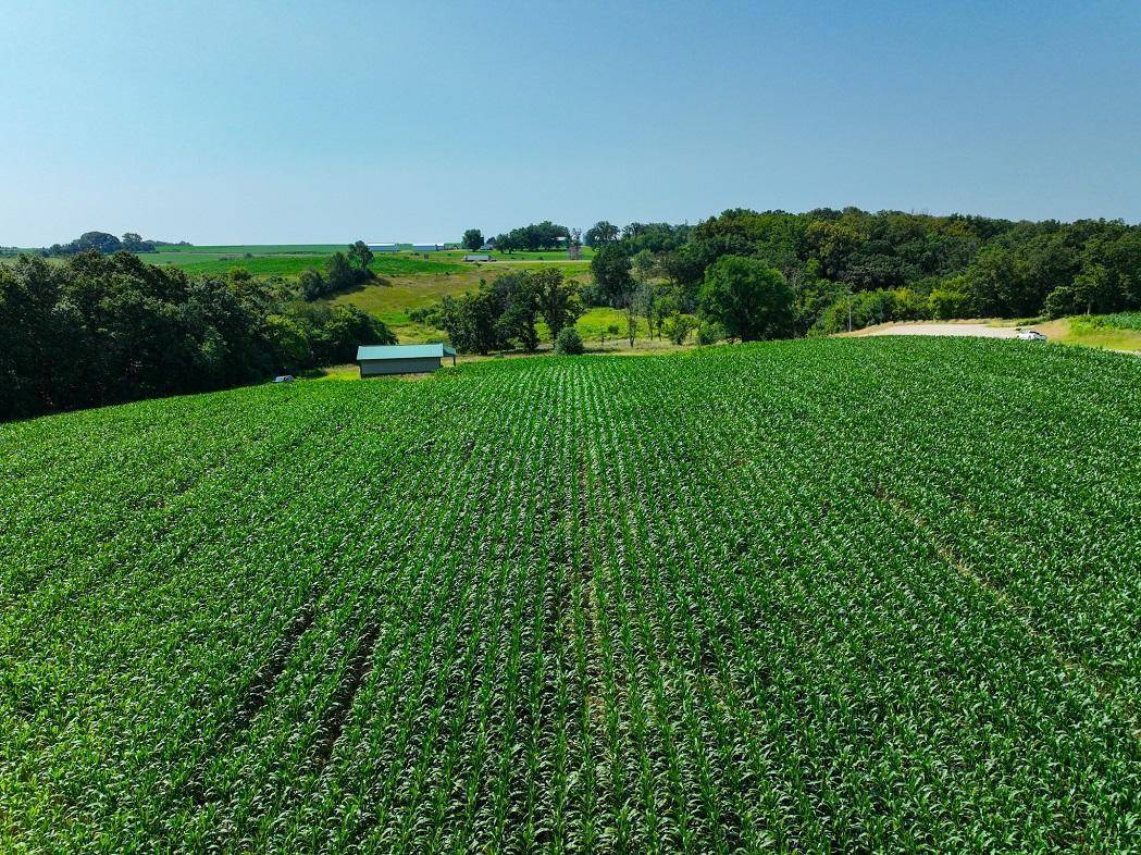 Wilson Twp, MN 55972,TBD30 Cherokee RD