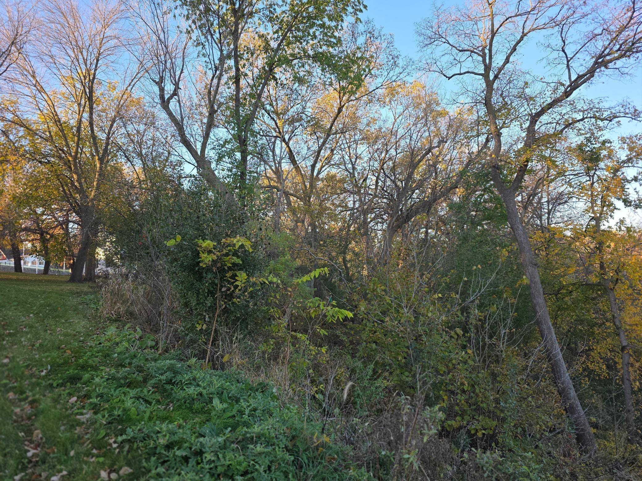 Redwood Falls, MN 56283,109 W Bridge ST W