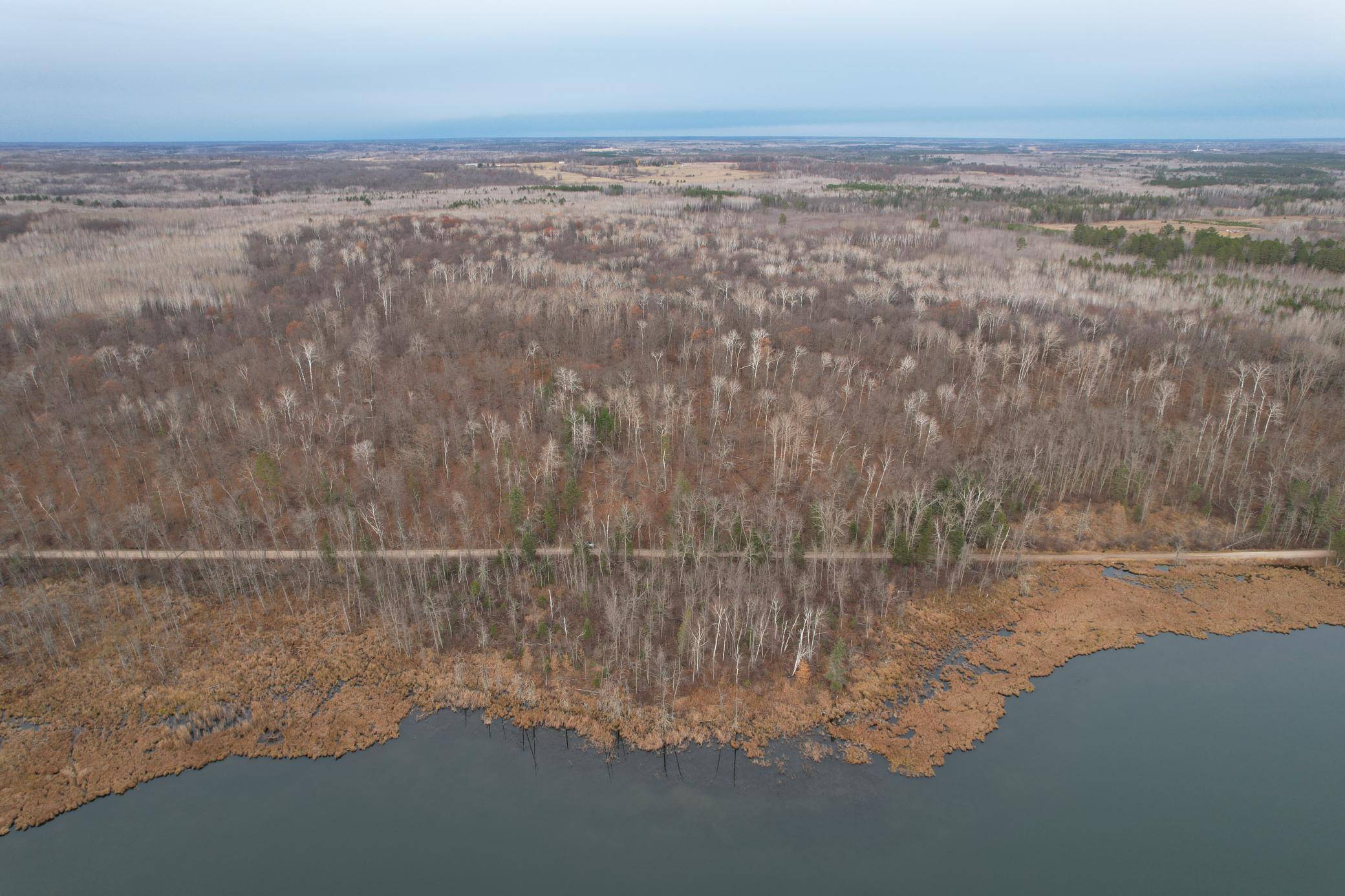 Laporte, MN 56461,35394 Gulch Forest TRL W