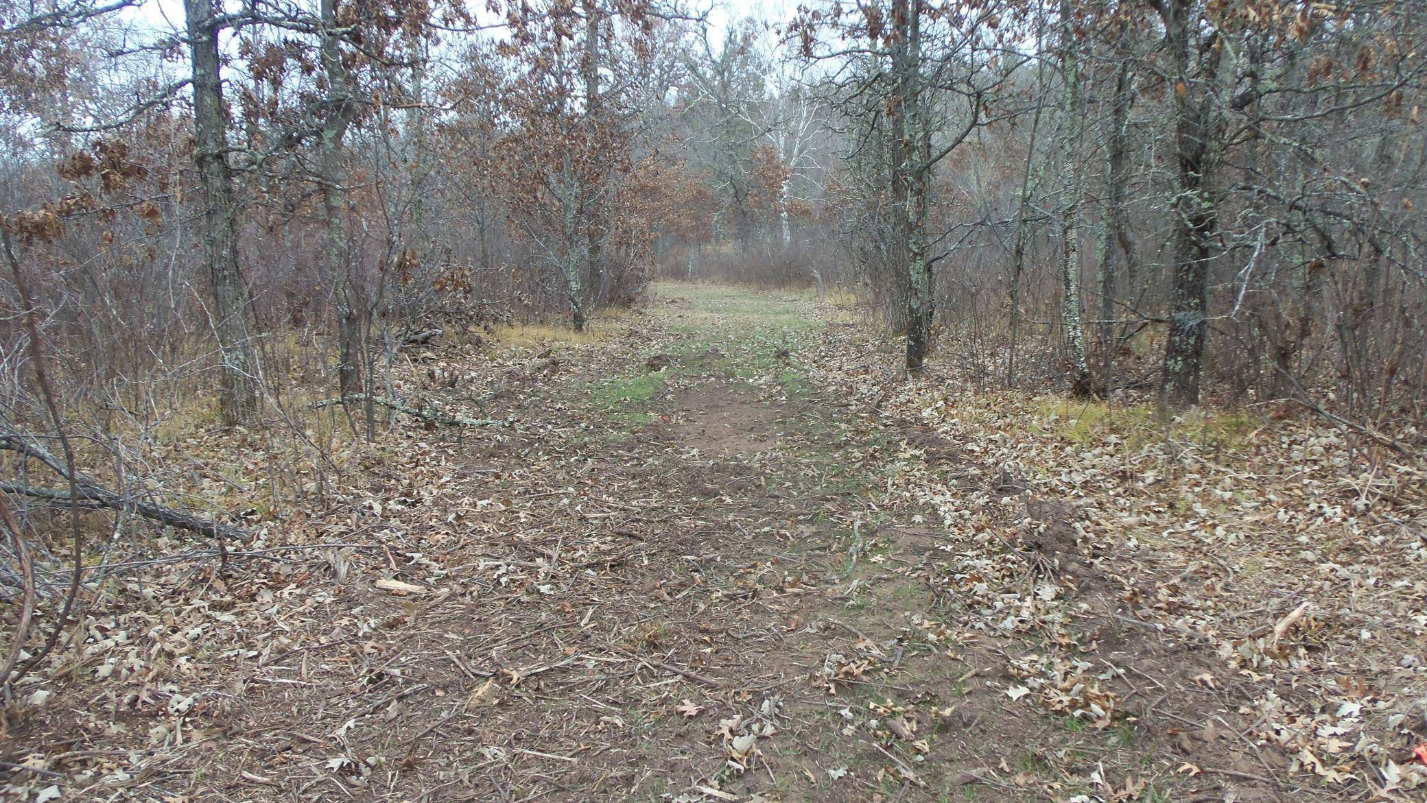 Sterling Twp, WI 54024,Lot 4 300th St