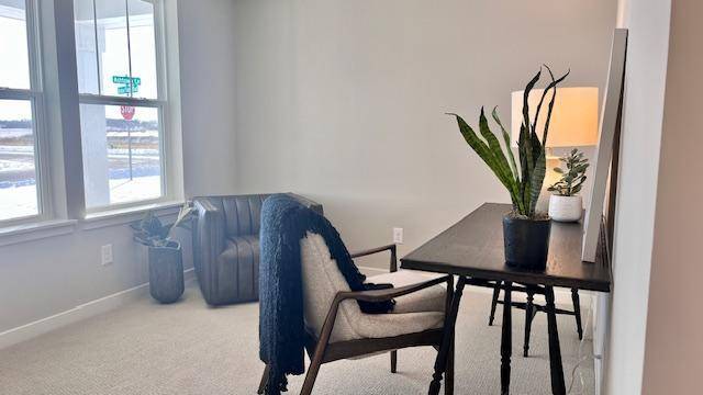 Rosemount, MN 55068,15049 Ashtown LN