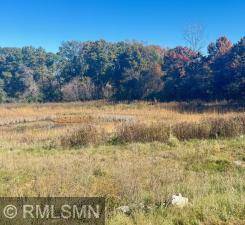 Lake Elmo, MN 55042,10484 56th PL N