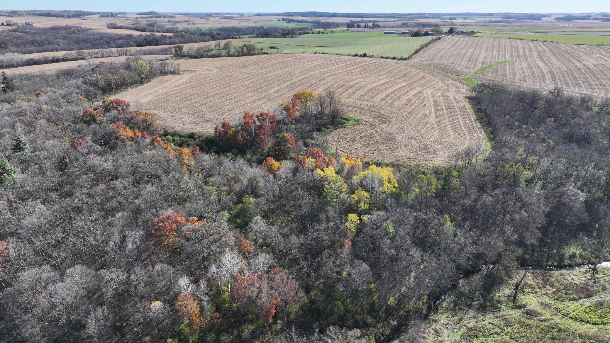 Newburg Twp, MN 55954,45534 County 29