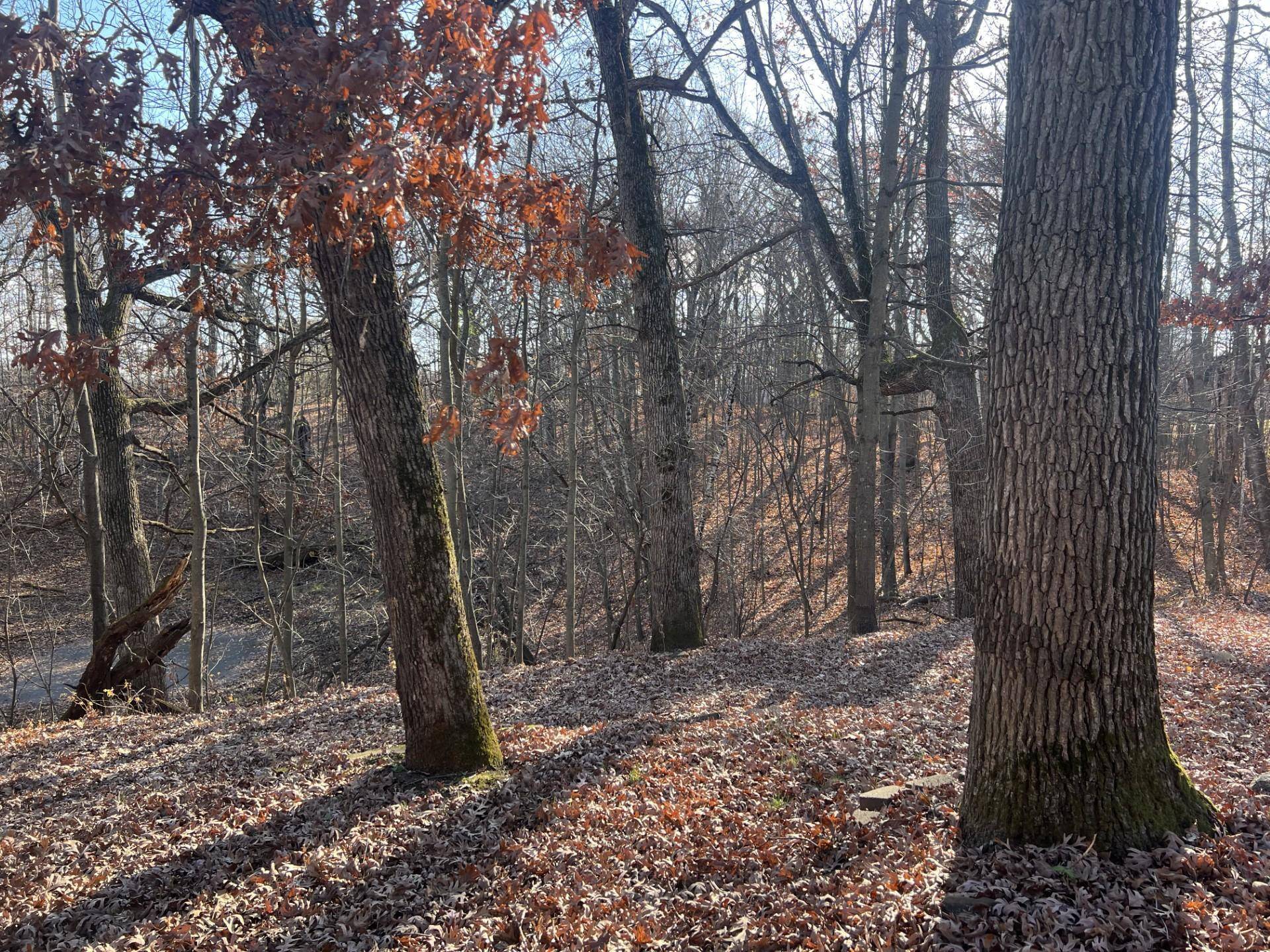 Stanford Twp, MN 55398,25055 Llama ST NW