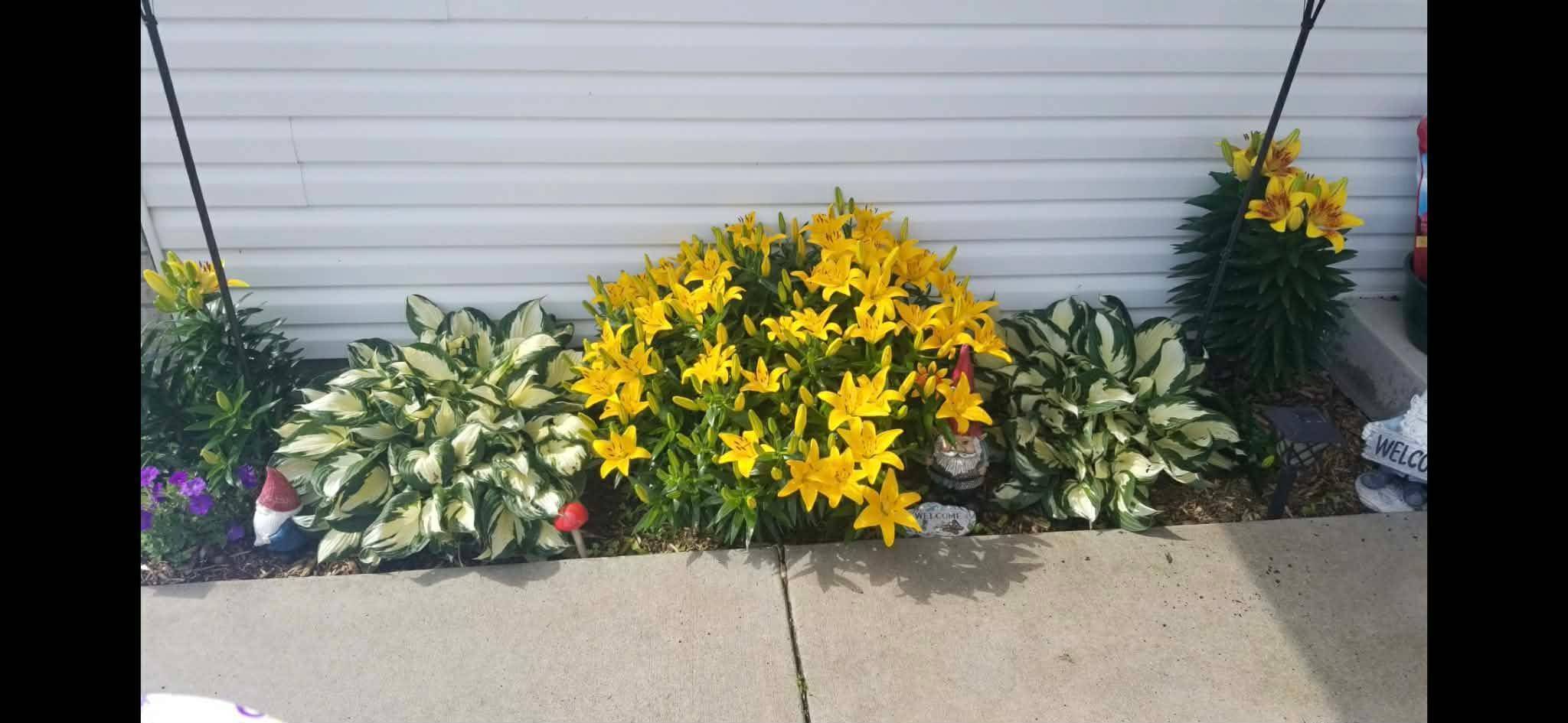 North Branch, MN 55056,37830 Harvester AVE