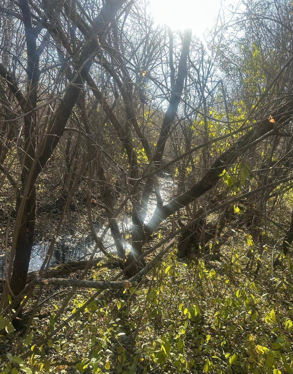 Harris, MN 55032,TBD 438th ST