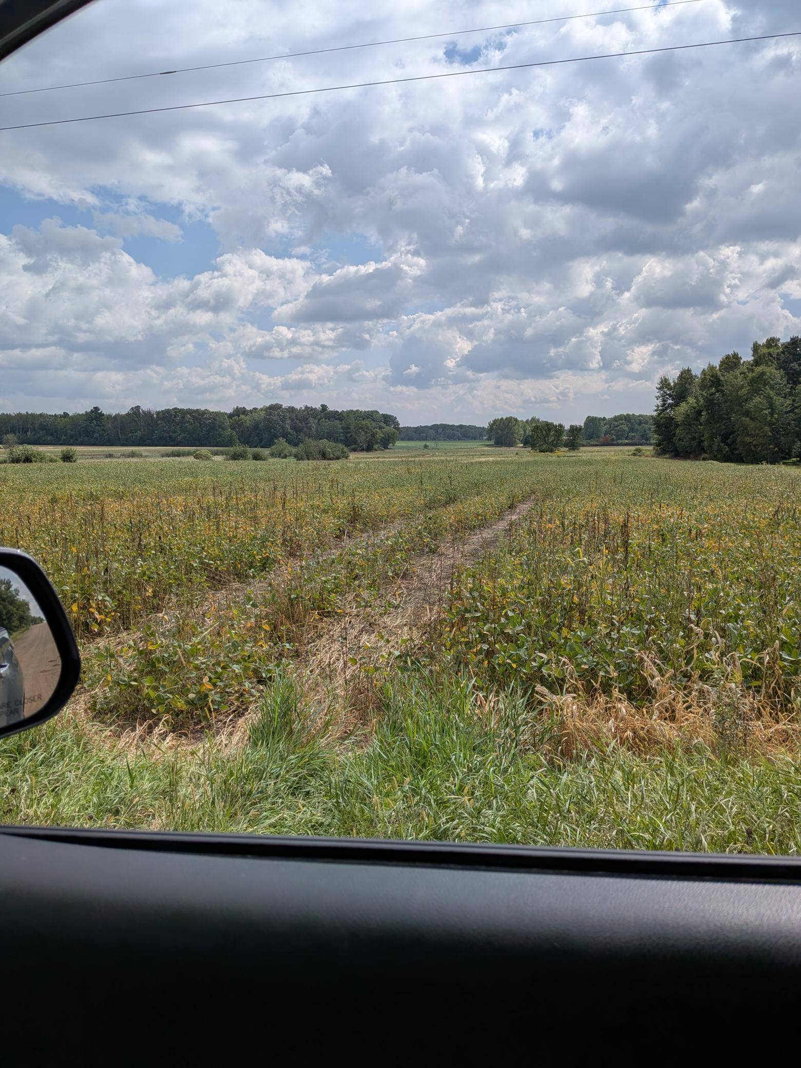 Brunswick Twp, MN 55051,TBD 130th AVE