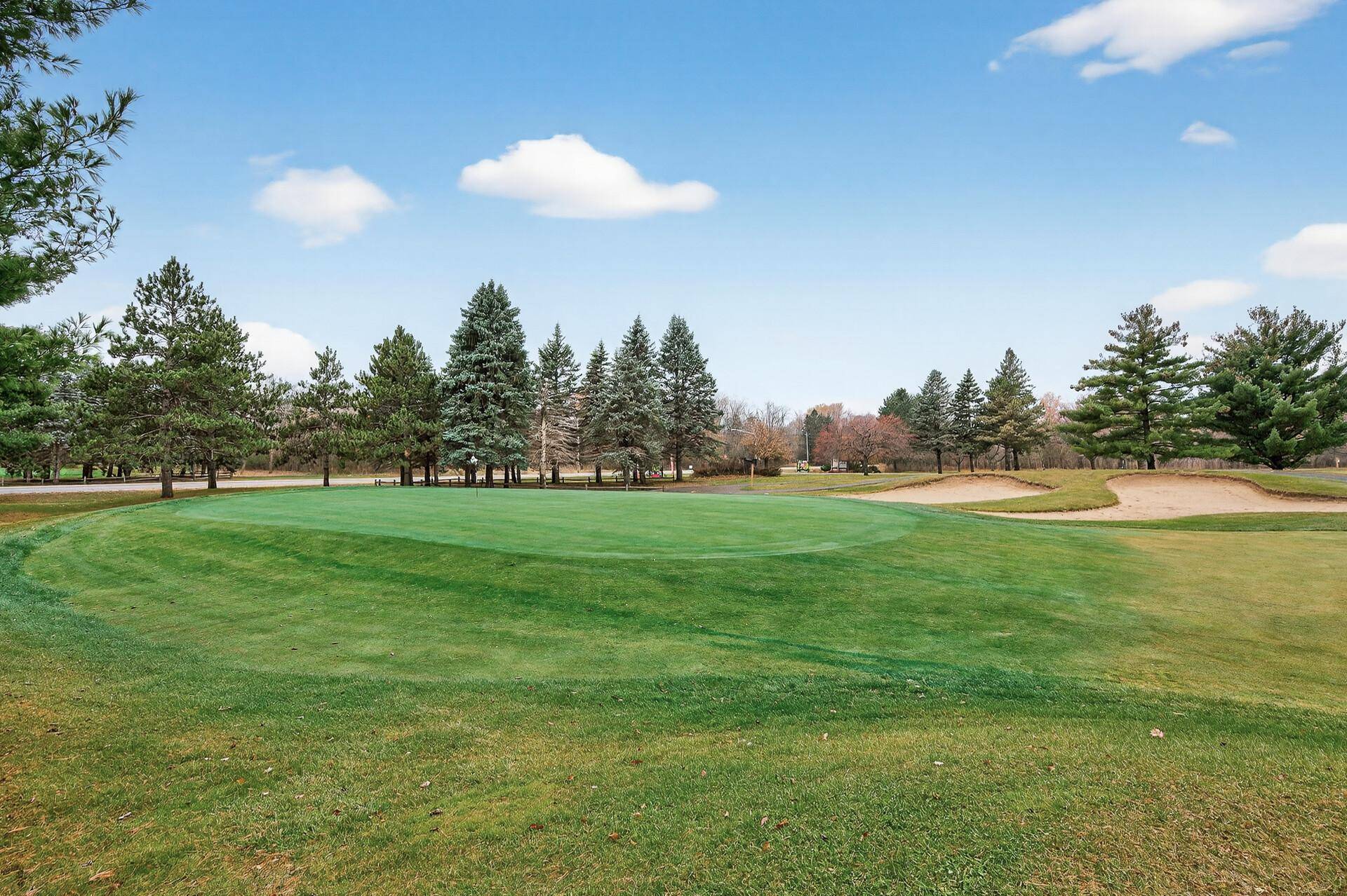 Ham Lake, MN 55304,1106 137th LN NE