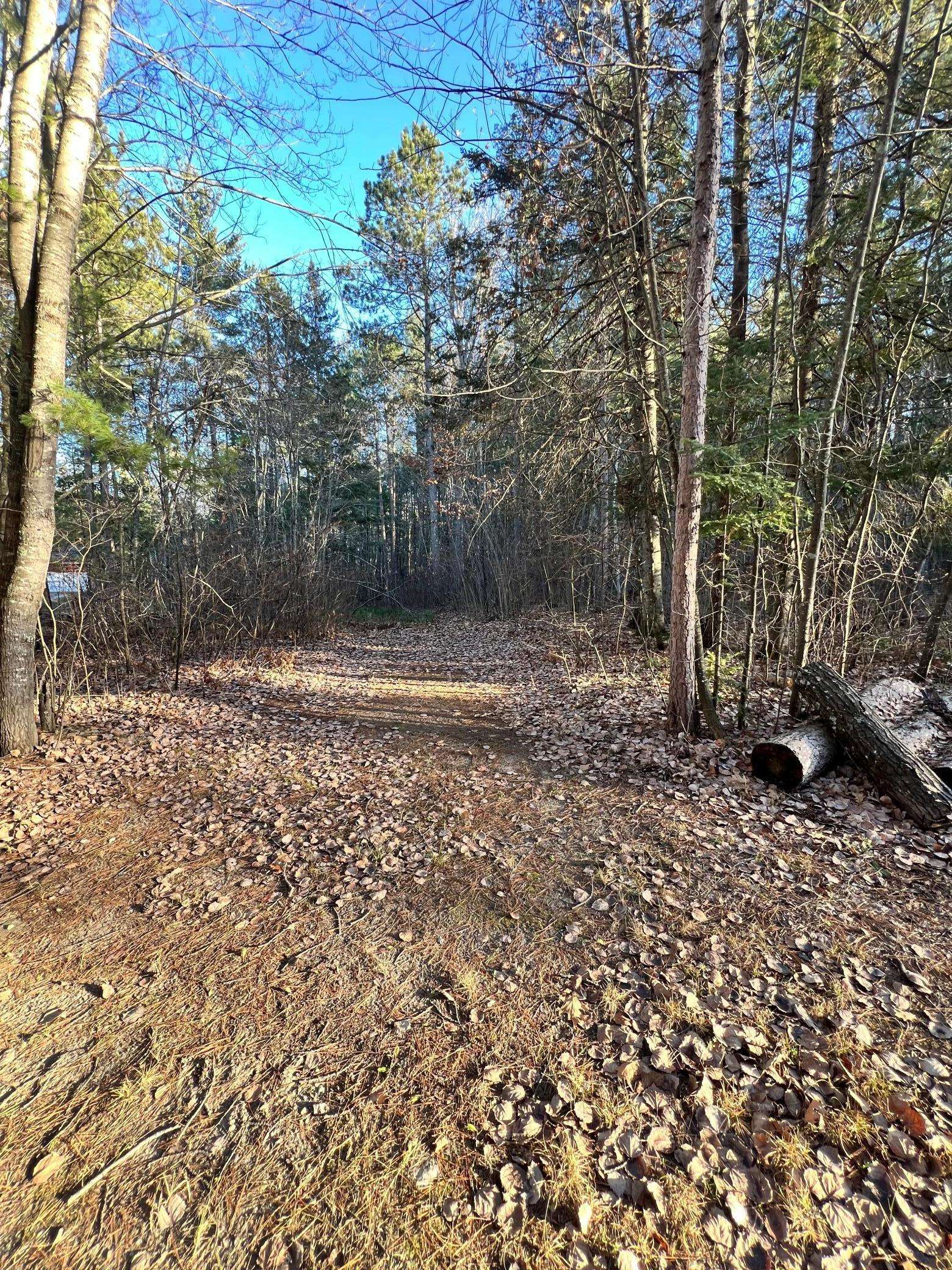 Blackberry Twp, MN 55744,TBD County Rd 427