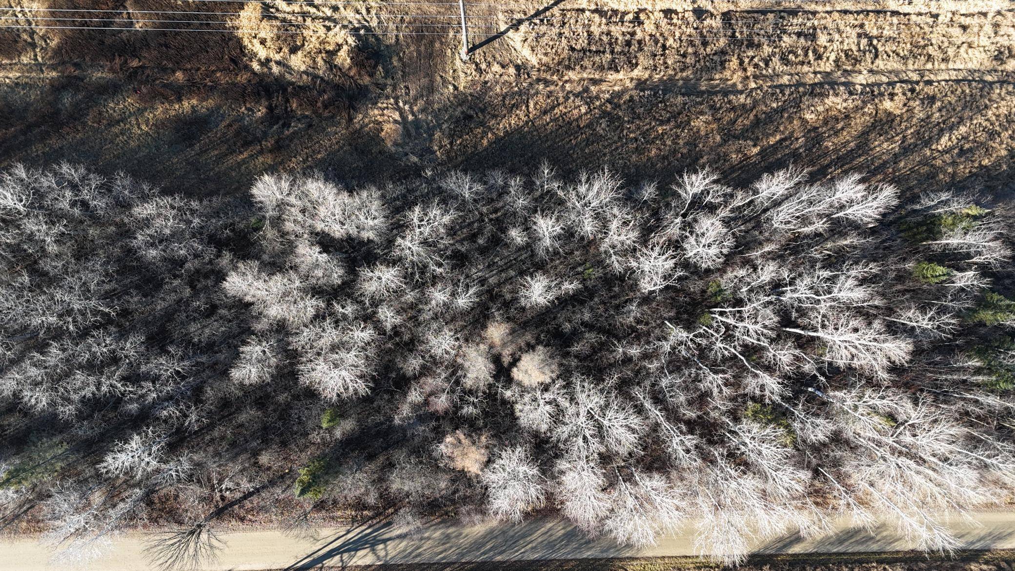 Deer River, MN 56636,Parcel B Parameter RD