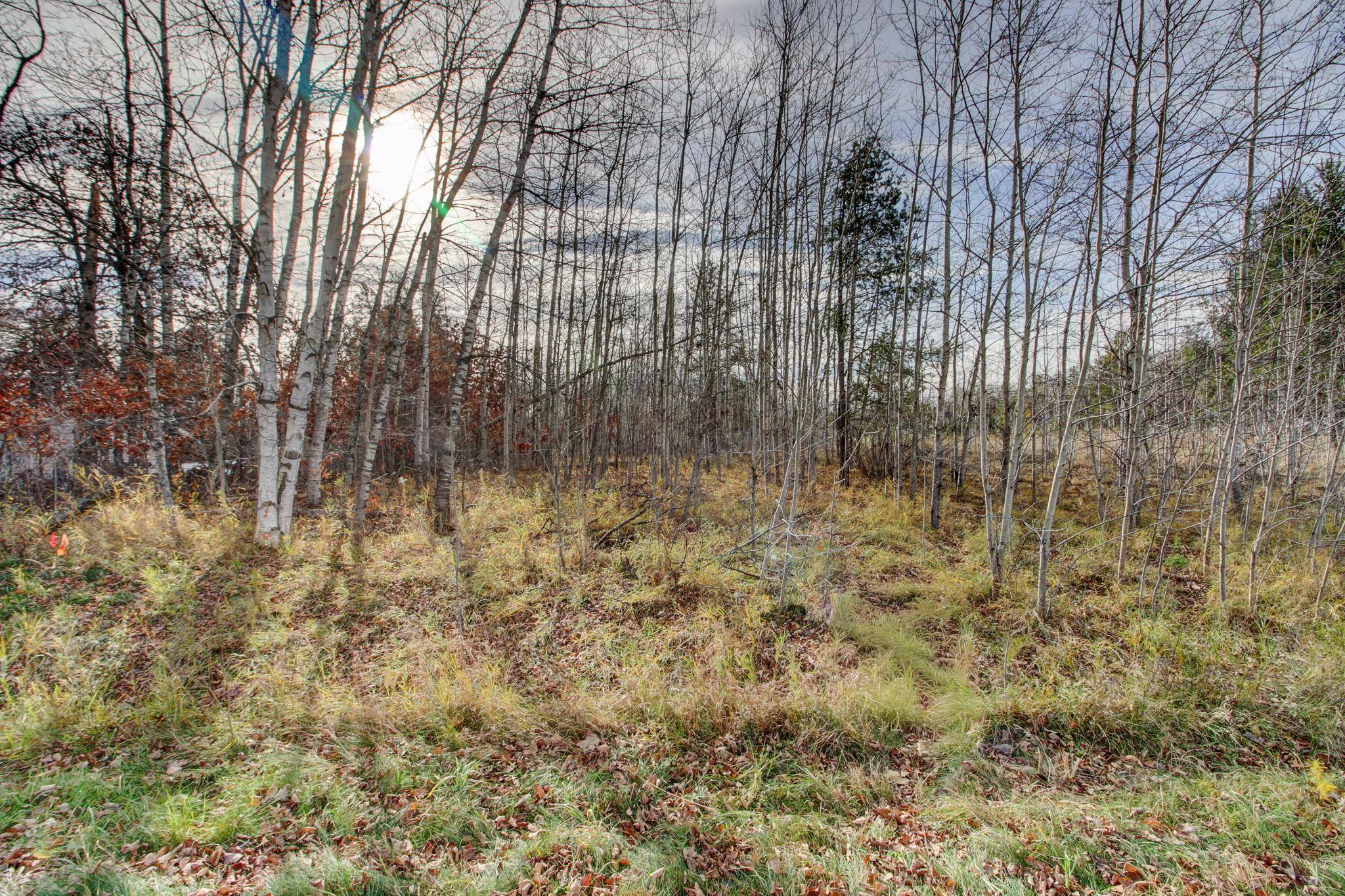 Breezy Point, MN 56472,7557 Fallen Leaf CIR