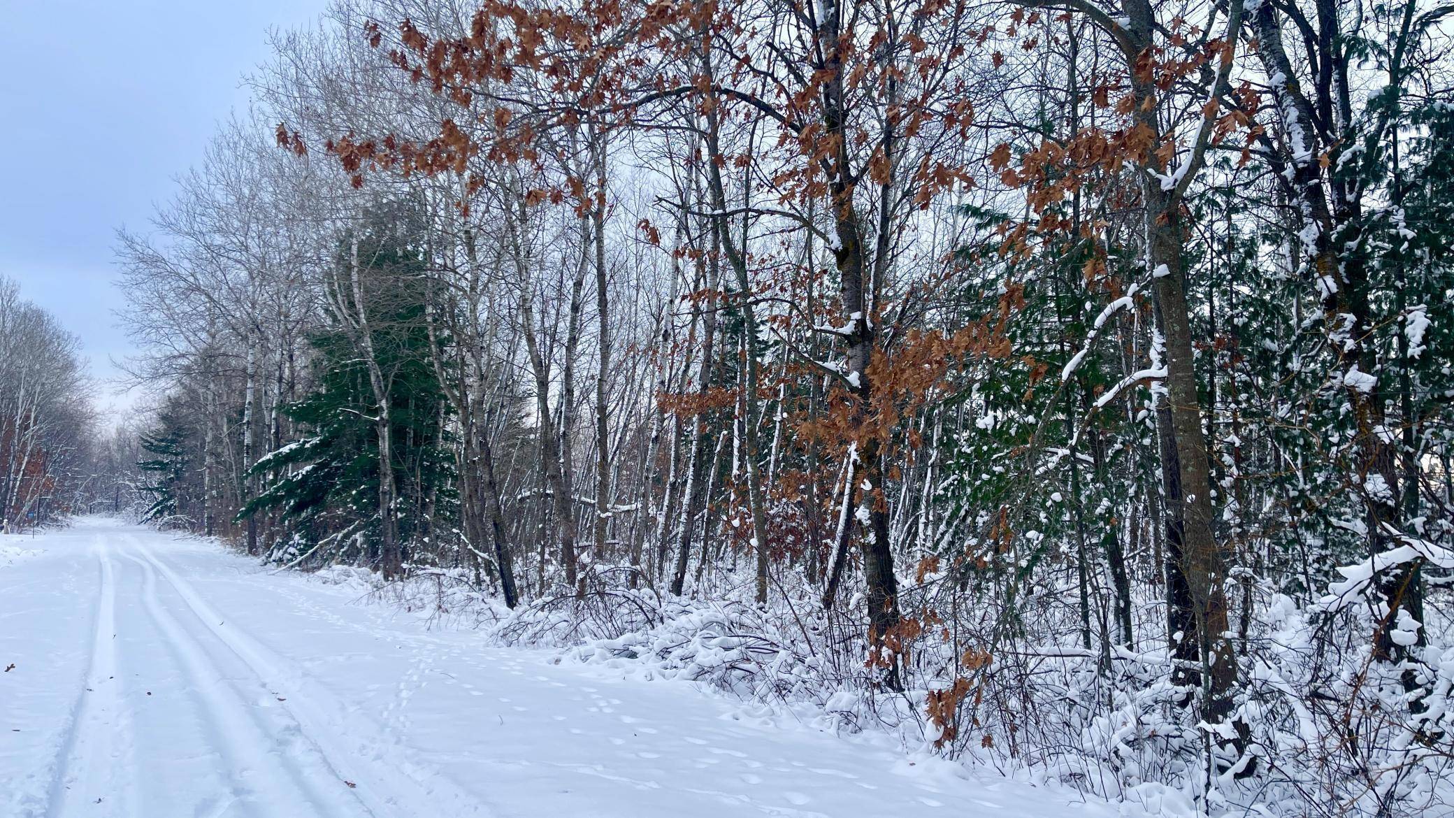 Roosevelt Twp, MN 56450,TBD Spruce CIR