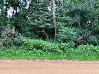 Independence, MN 55359,TBD W Main St