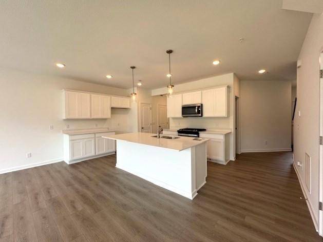 Eden Prairie, MN 55347,9228 Larimar TRL