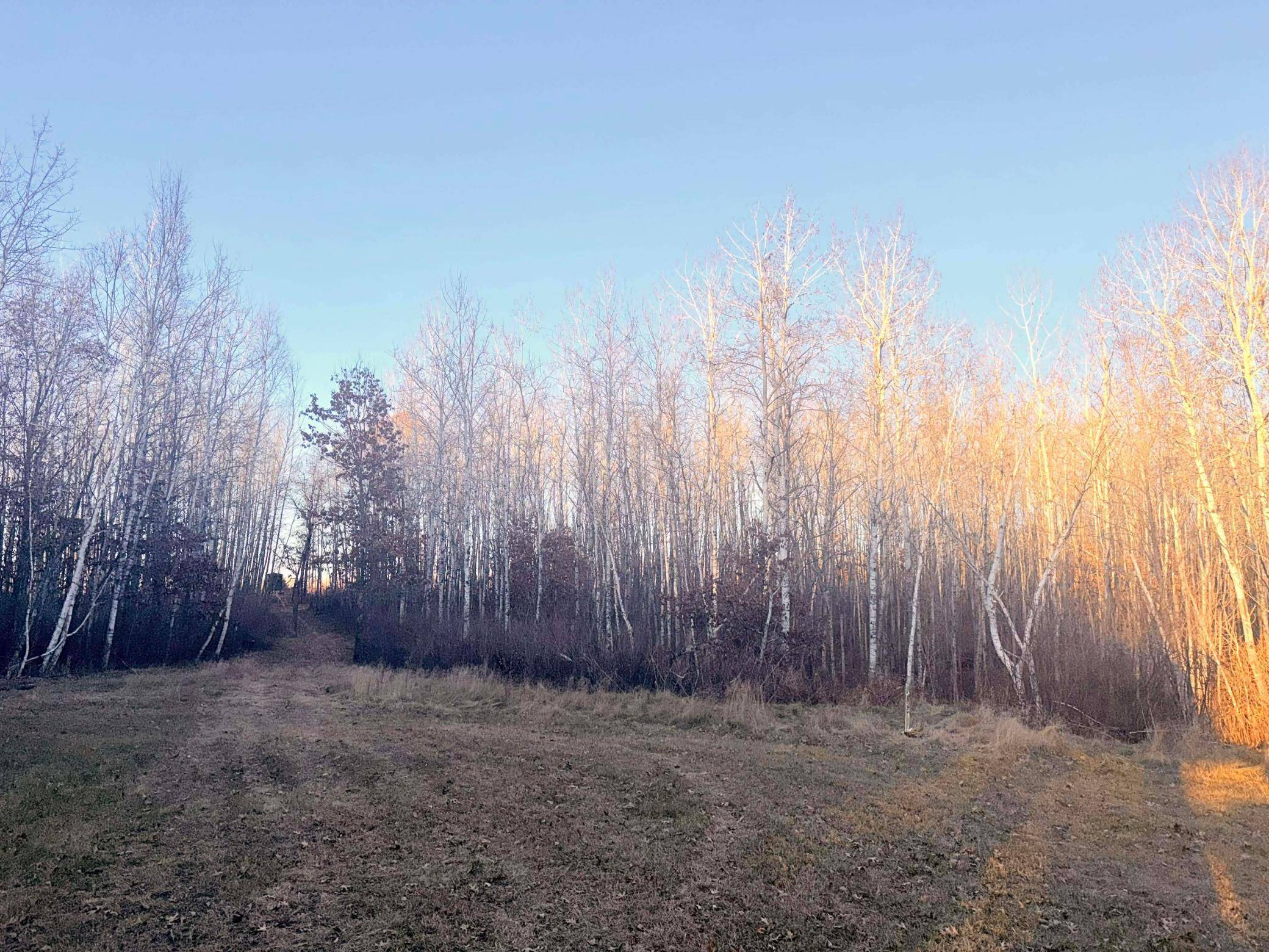 Powers Twp, MN 56435,1287 Trinity Pines LN NW