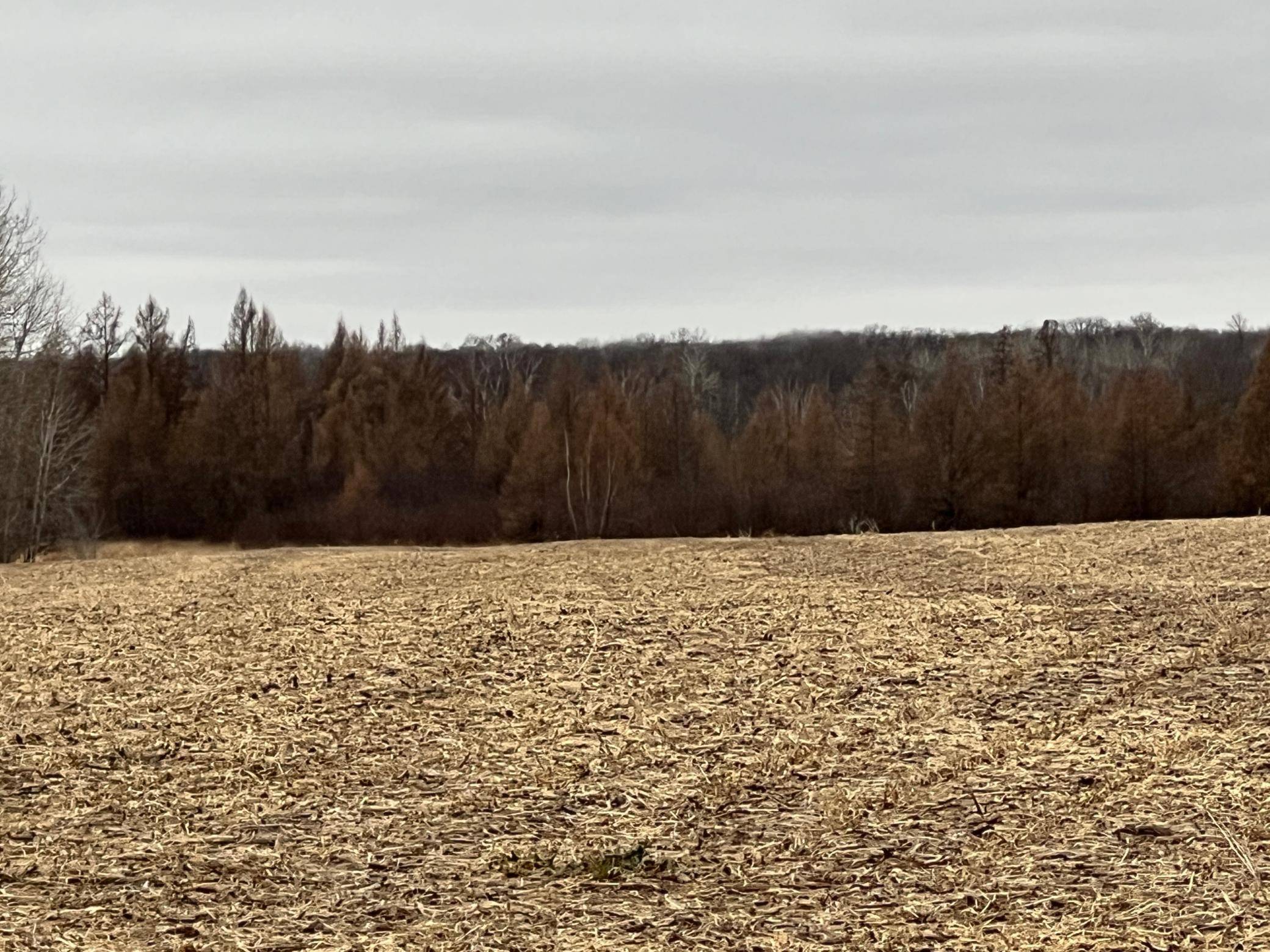 Mission Creek Twp, MN 55007,000 Wildwood Rd