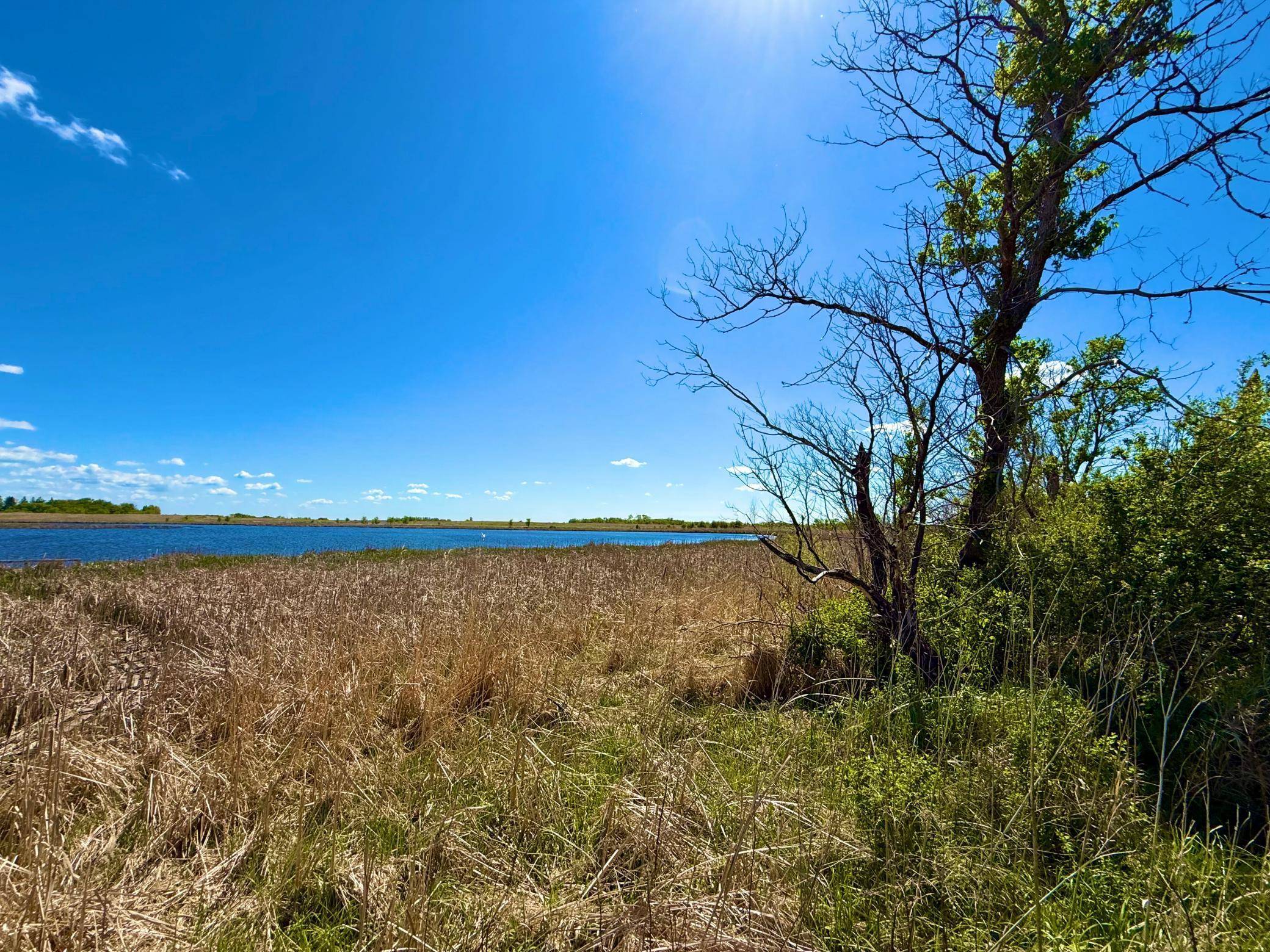 Callaway, MN 56521,TBD 240th Ave