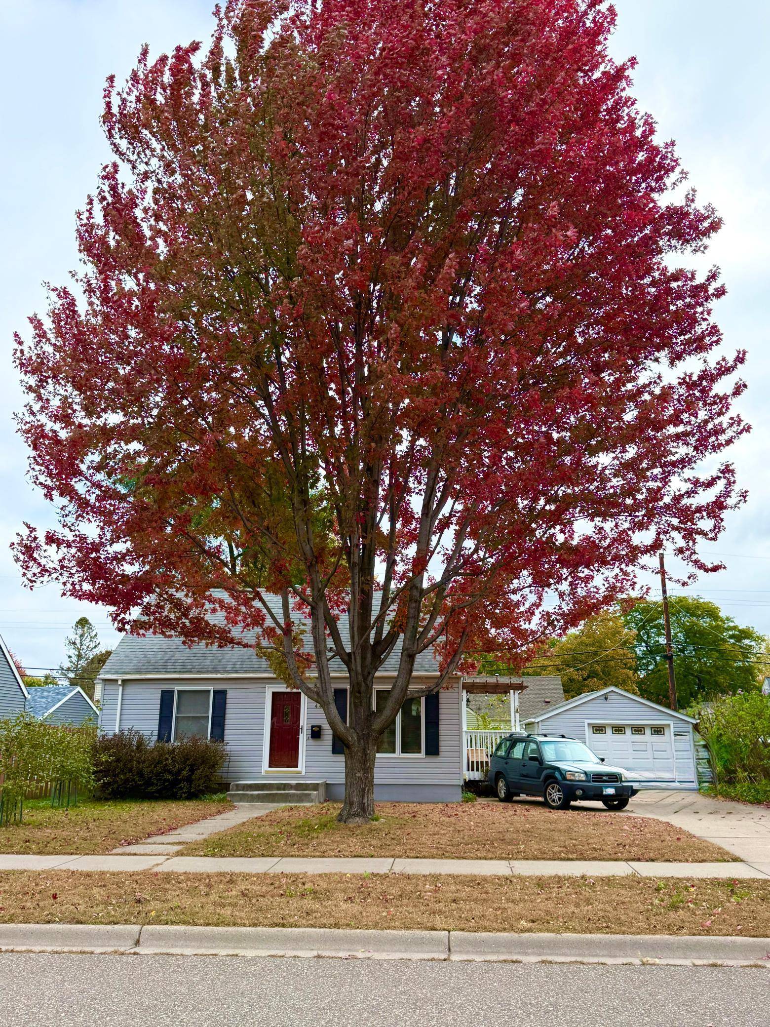 Crystal, MN 55422,4438 Yates AVE N