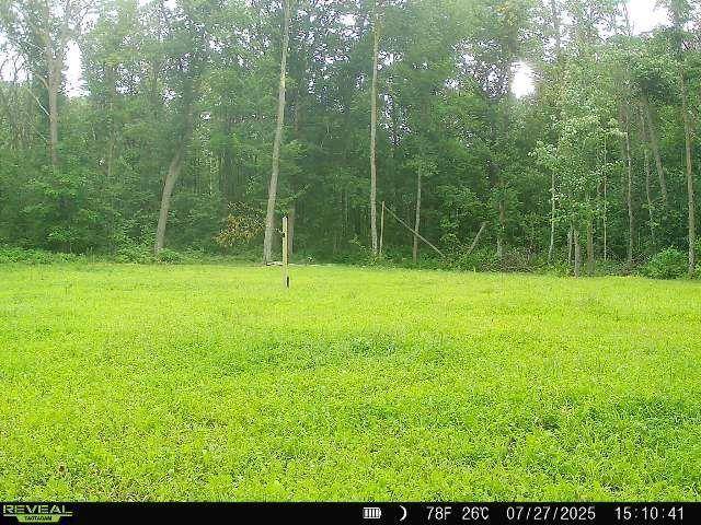 Pierz, MN 56338,32294 93rd ST