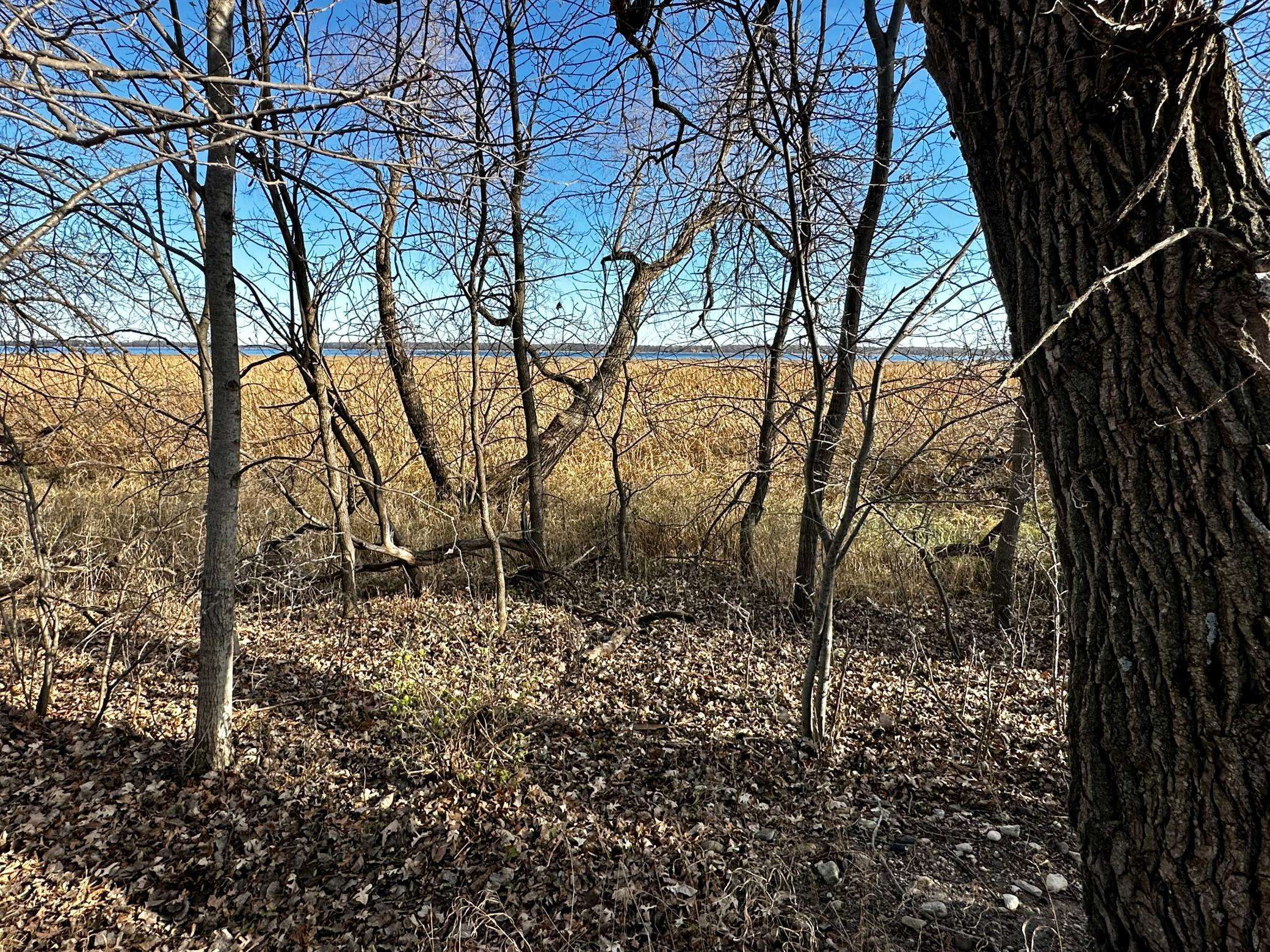 Alexandria, MN 56308,TBD Hummingbird Way