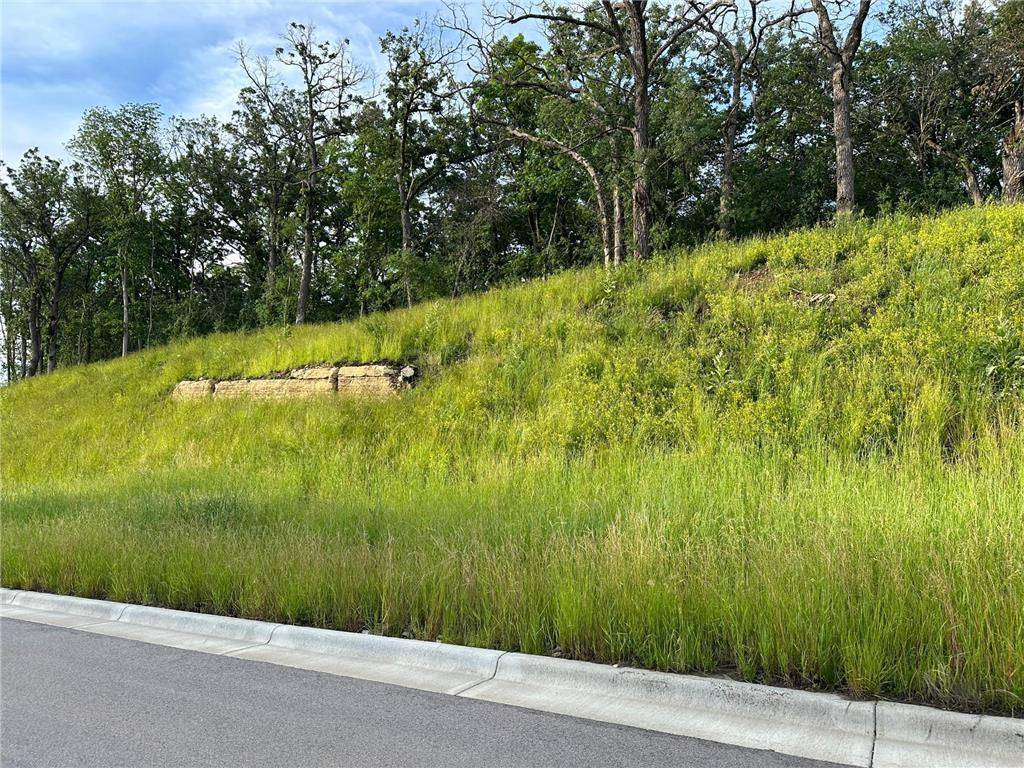 Rochester Twp, MN 55902,XXX Meadow Crossing Ln SW