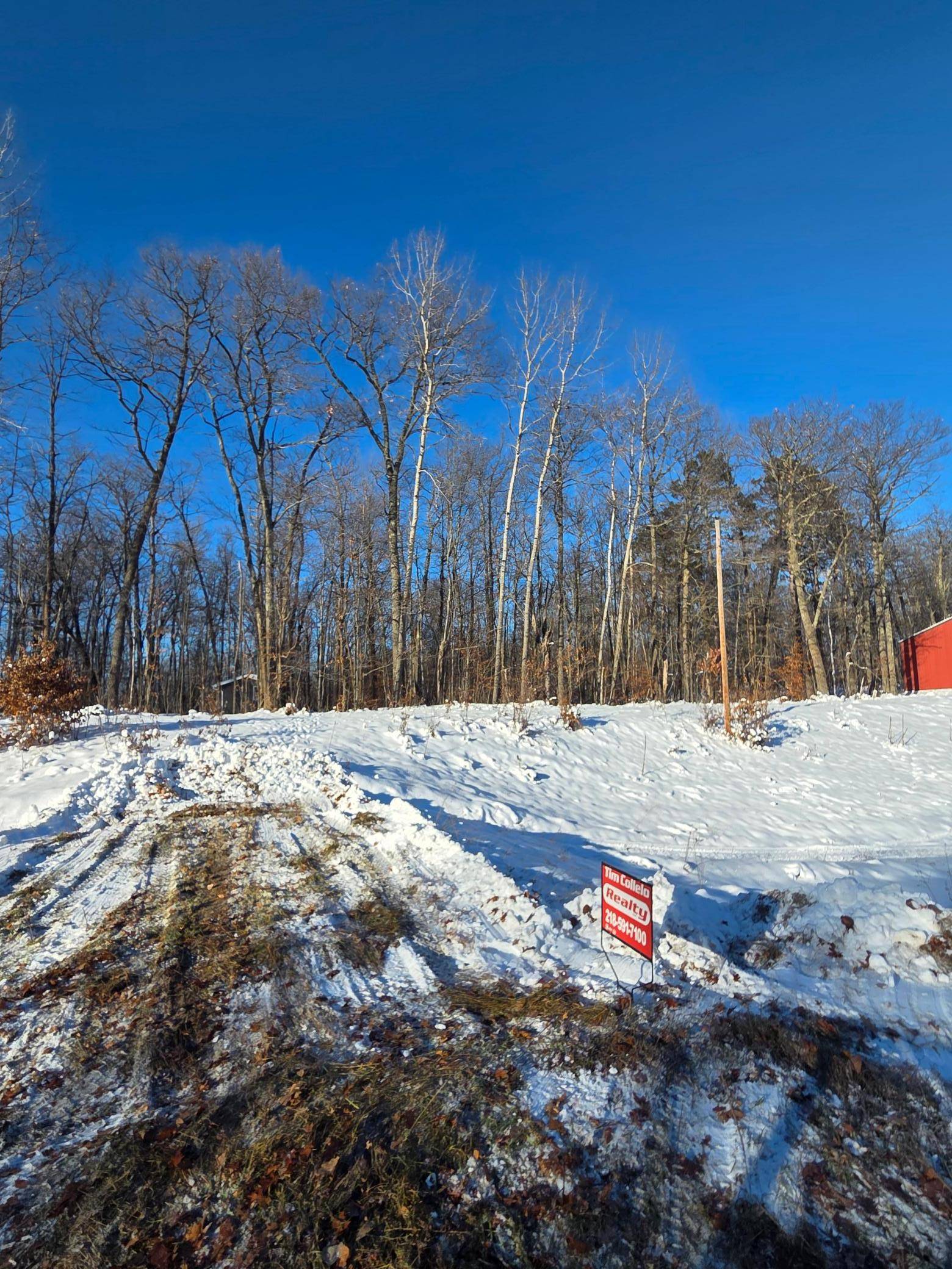 Shamrock Twp, MN 55760,TBDxx Lake Ave