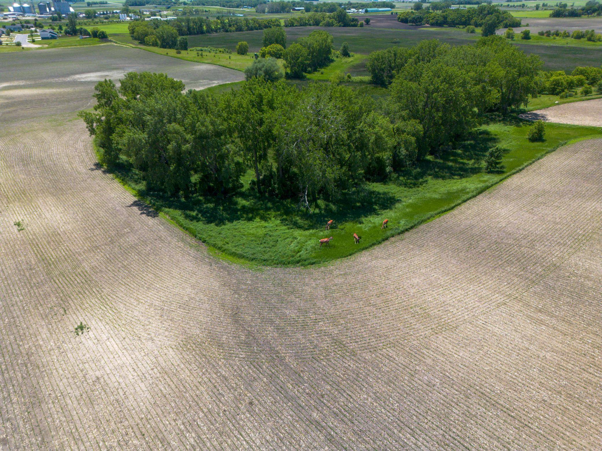 Willmar, MN 56201,1400 Co Rd 15