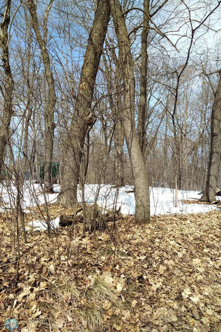 Vergas, MN 56587,TBD TROWBRIDGE