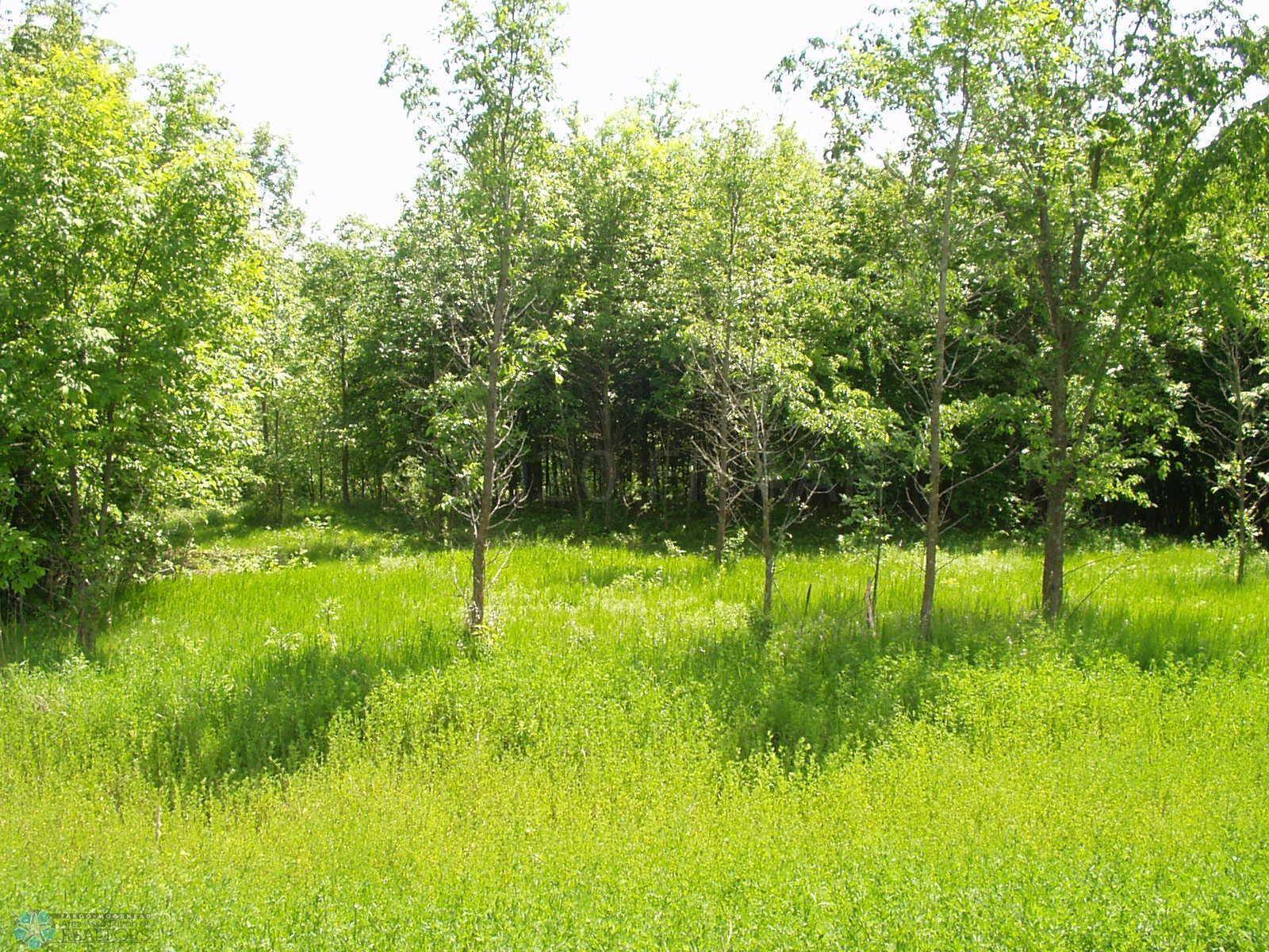 Dalton, MN 56324,LOT12 BK1 STALKER RD W